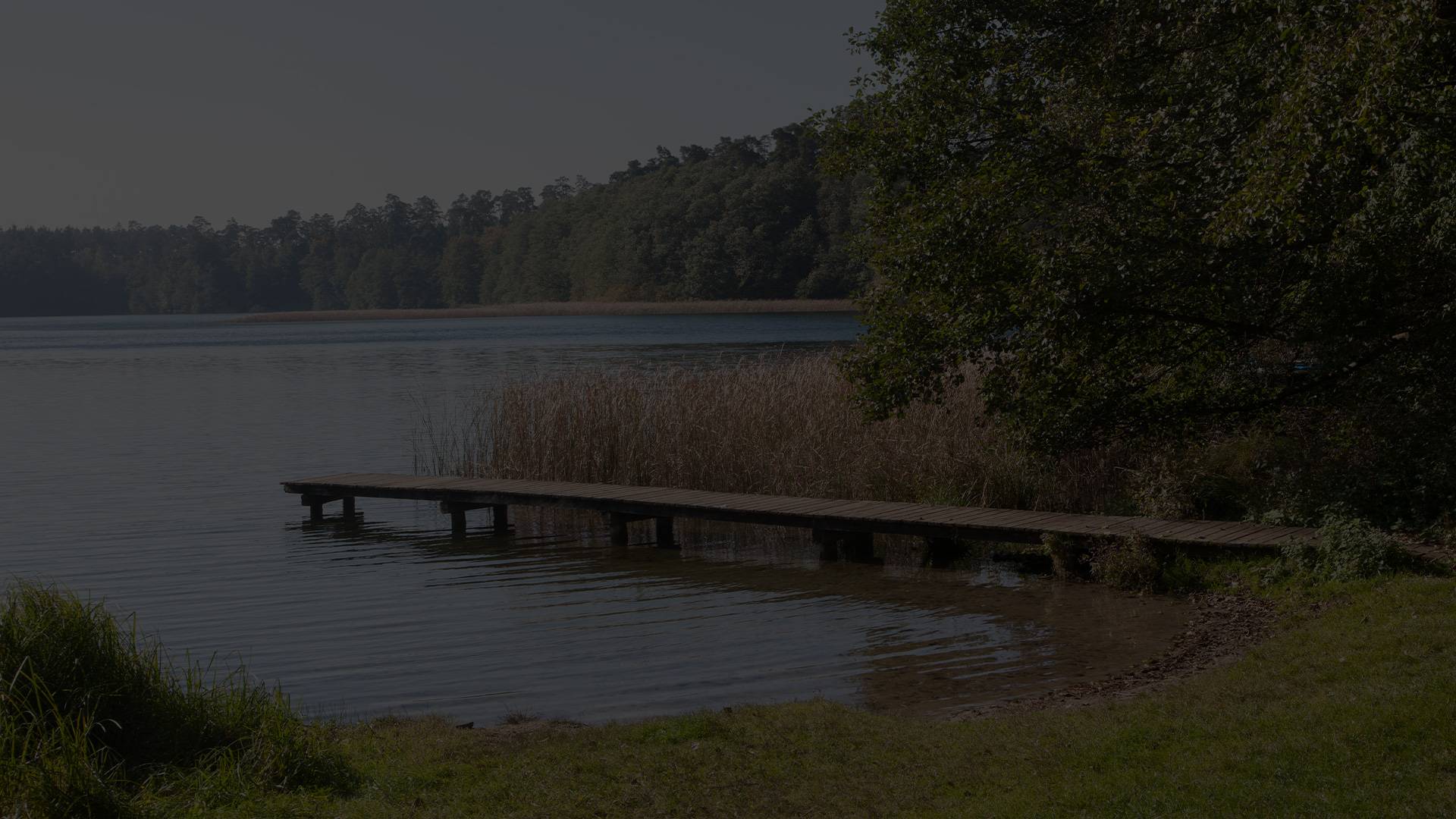 Am Carwitzer See — photo 4
