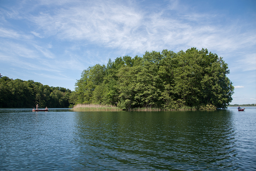 Am Carwitzer See — photo 8